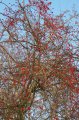 Winter 12.01.09 045